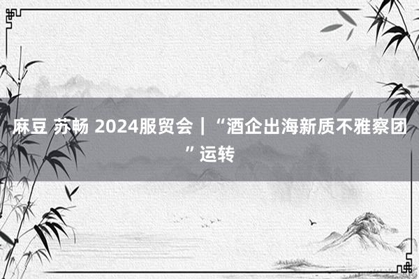 麻豆 苏畅 2024服贸会｜“酒企出海新质不雅察团”运转