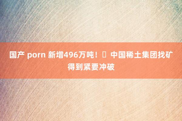 国产 porn 新增496万吨！​中国稀土集团找矿得到紧要冲破