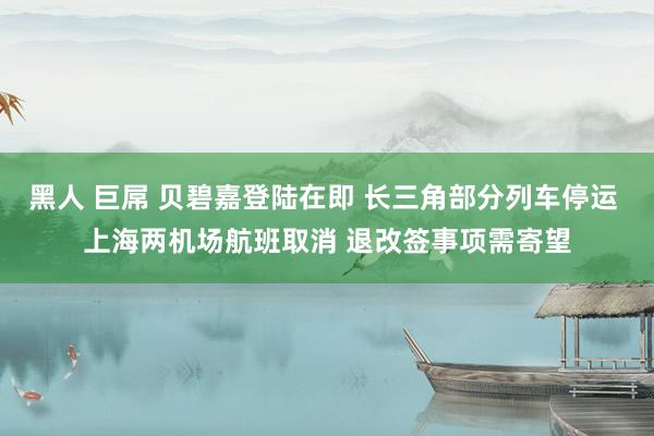 黑人 巨屌 贝碧嘉登陆在即 长三角部分列车停运 上海两机场航班取消 退改签事项需寄望