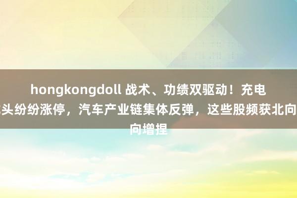 hongkongdoll 战术、功绩双驱动！充电桩龙头纷纷涨停，汽车产业链集体反弹，这些股频获北向增捏