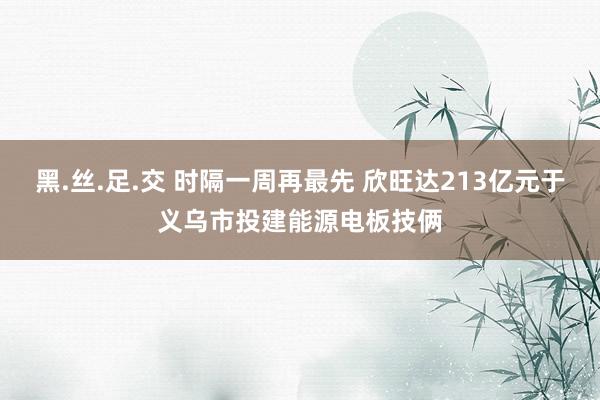 黑.丝.足.交 时隔一周再最先 欣旺达213亿元于义乌市投建能源电板技俩