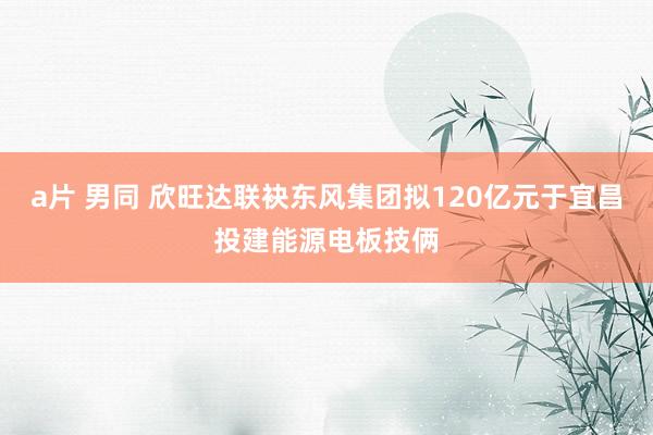 a片 男同 欣旺达联袂东风集团拟120亿元于宜昌投建能源电板技俩