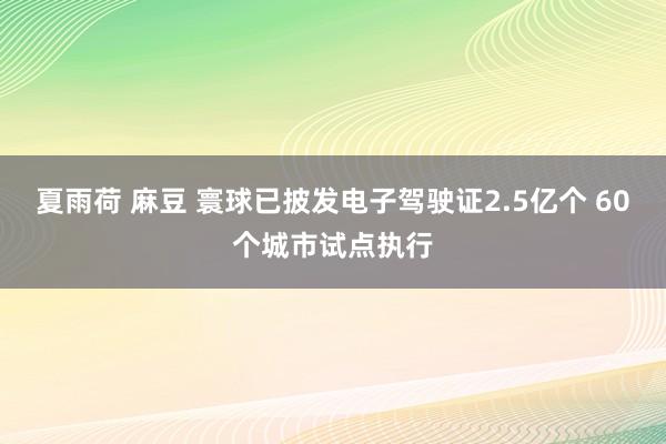 夏雨荷 麻豆 寰球已披发电子驾驶证2.5亿个 60个城市试点执行