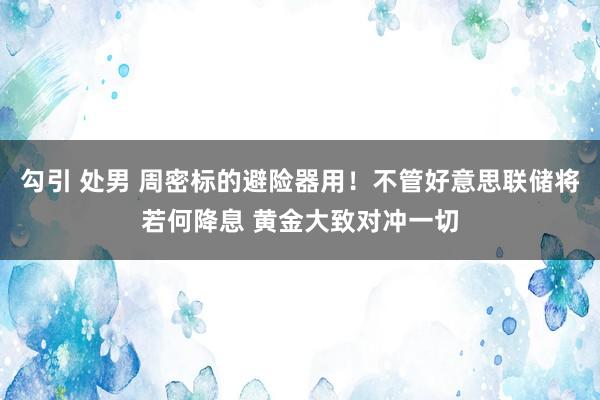 勾引 处男 周密标的避险器用！不管好意思联储将若何降息 黄金大致对冲一切