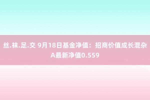 丝.袜.足.交 9月18日基金净值：招商价值成长混杂A最新净值0.559