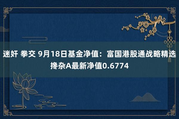 迷奸 拳交 9月18日基金净值：富国港股通战略精选搀杂A最新净值0.6774