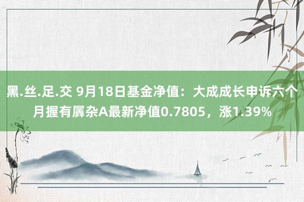 黑.丝.足.交 9月18日基金净值：大成成长申诉六个月握有羼杂A最新净值0.7805，涨1.39%