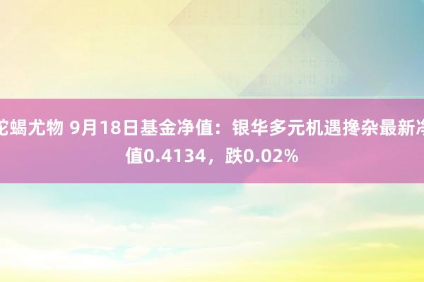 蛇蝎尤物 9月18日基金净值：银华多元机遇搀杂最新净值0.4134，跌0.02%