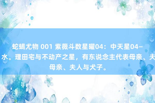 蛇蝎尤物 001 紫薇斗数星曜04：中天星04——太阴星：水。理田宅与不动产之星，有东说念主代表母亲、夫人与犬子。