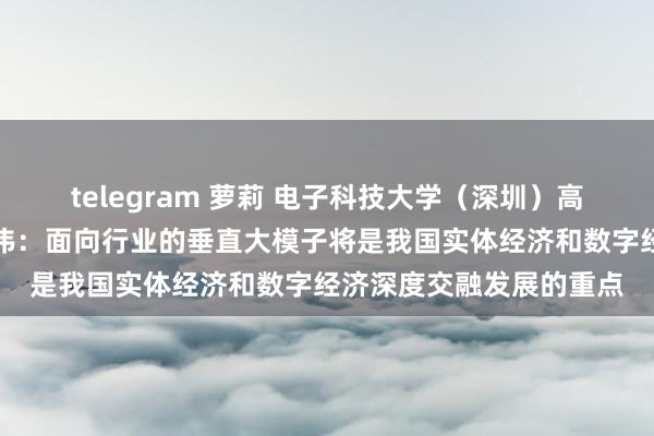 telegram 萝莉 电子科技大学（深圳）高档推断院施行院长汤志伟：面向行业的垂直大模子将是我国实体经济和数字经济深度交融发展的重点