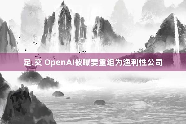 足.交 OpenAI被曝要重组为渔利性公司