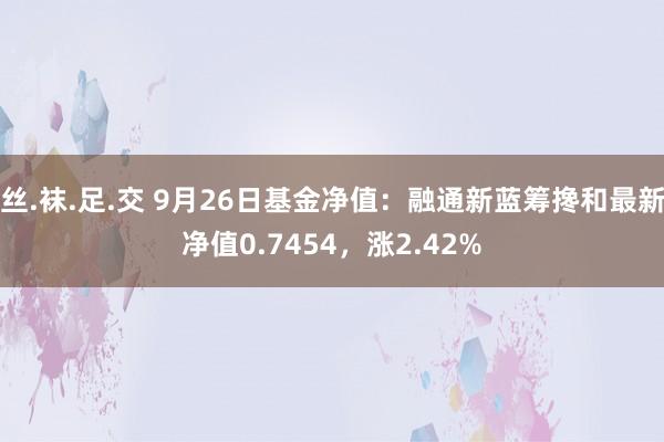 丝.袜.足.交 9月26日基金净值：融通新蓝筹搀和最新净值0.7454，涨2.42%