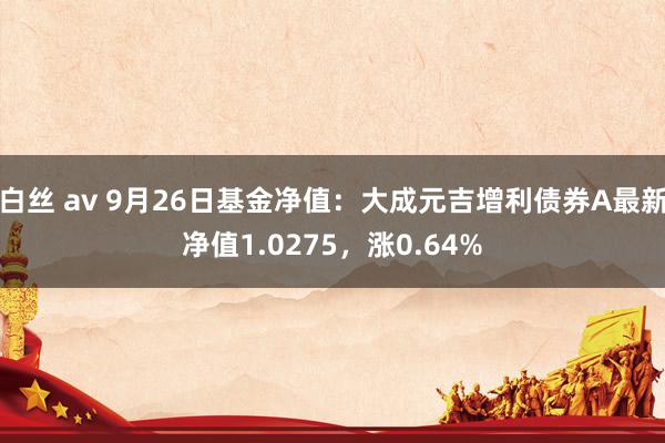 白丝 av 9月26日基金净值：大成元吉增利债券A最新净值1.0275，涨0.64%