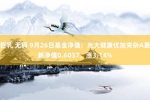 巨乳 无码 9月26日基金净值：光大健康优加夹杂A最新净值0.6037，涨3.14%