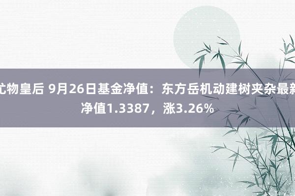 尤物皇后 9月26日基金净值：东方岳机动建树夹杂最新净值1.3387，涨3.26%