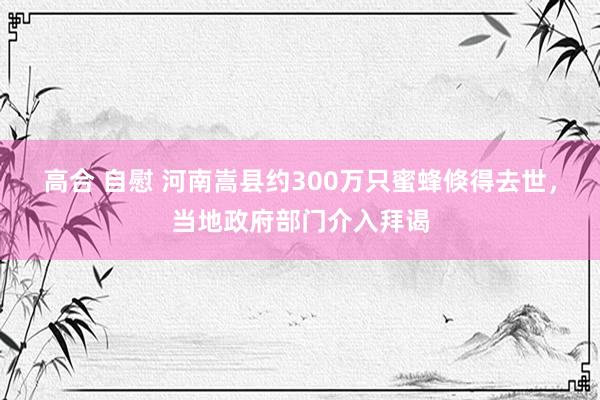 高合 自慰 河南嵩县约300万只蜜蜂倏得去世，当地政府部门介入拜谒