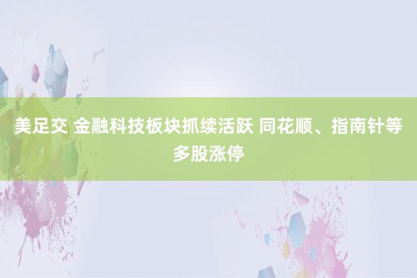 美足交 金融科技板块抓续活跃 同花顺、指南针等多股涨停