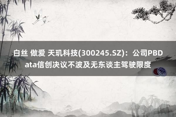 白丝 做爱 天玑科技(300245.SZ)：公司PBData信创决议不波及无东谈主驾驶限度