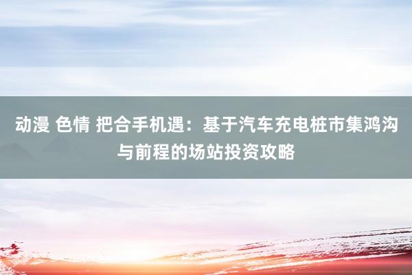 动漫 色情 把合手机遇：基于汽车充电桩市集鸿沟与前程的场站投资攻略