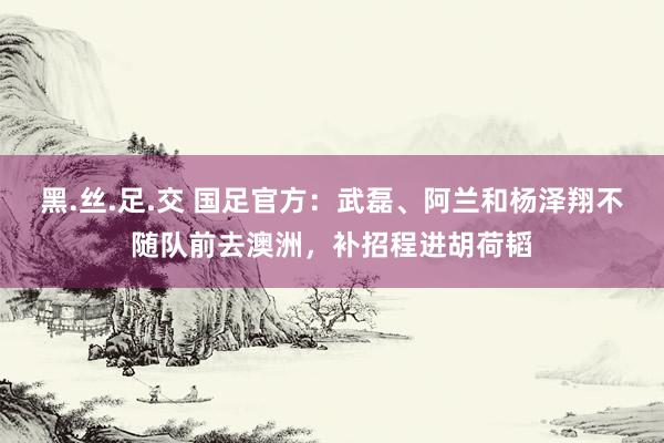 黑.丝.足.交 国足官方：武磊、阿兰和杨泽翔不随队前去澳洲，补招程进胡荷韬