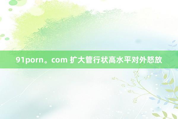 91porn。com 扩大管行状高水平对外怒放