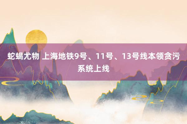 蛇蝎尤物 上海地铁9号、11号、13号线本领贪污系统上线