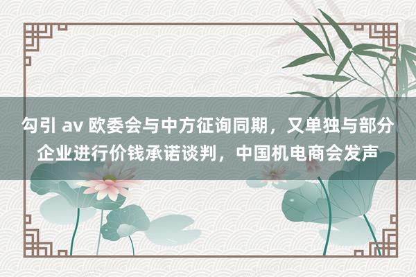 勾引 av 欧委会与中方征询同期，又单独与部分企业进行价钱承诺谈判，中国机电商会发声