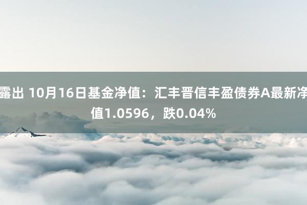 露出 10月16日基金净值：汇丰晋信丰盈债券A最新净值1.0596，跌0.04%