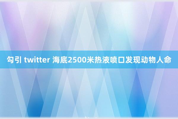 勾引 twitter 海底2500米热液喷口发现动物人命