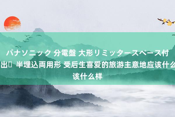 パナソニック 分電盤 大形リミッタースペース付 露出・半埋込両用形 受后生喜爱的旅游主意地应该什么样