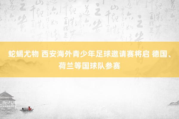 蛇蝎尤物 西安海外青少年足球邀请赛将启 德国、荷兰等国球队参赛