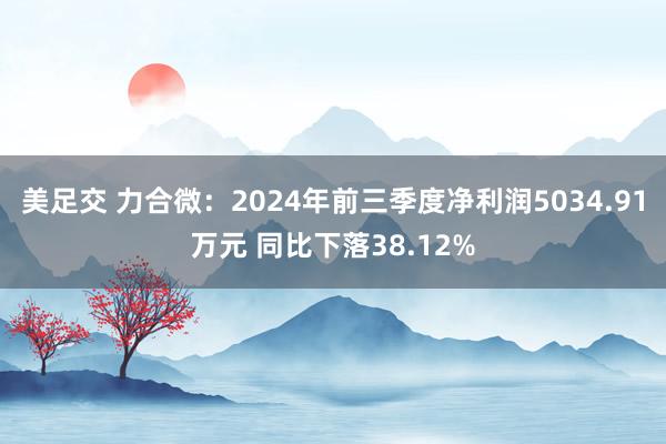 美足交 力合微：2024年前三季度净利润5034.91万元 同比下落38.12%