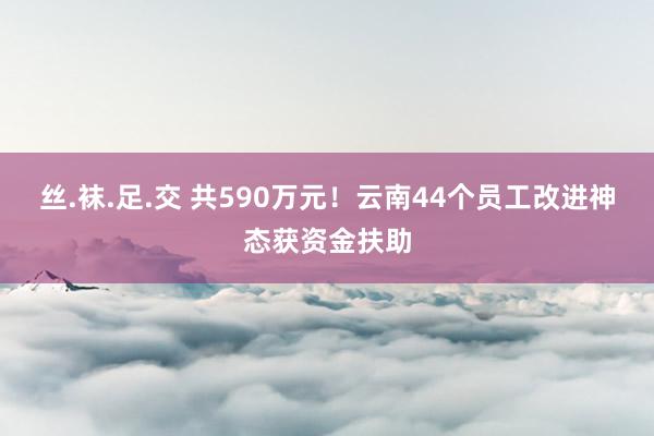 丝.袜.足.交 共590万元！云南44个员工改进神态获资金扶助