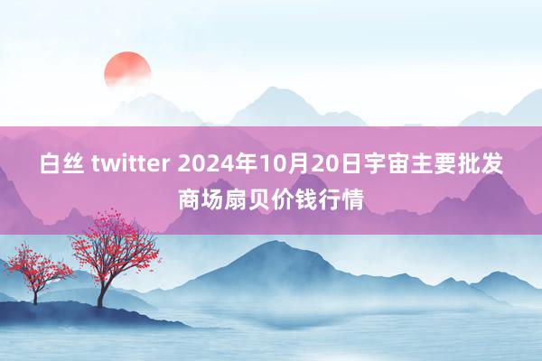 白丝 twitter 2024年10月20日宇宙主要批发商场扇贝价钱行情