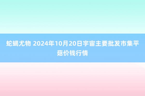 蛇蝎尤物 2024年10月20日宇宙主要批发市集平菇价钱行情