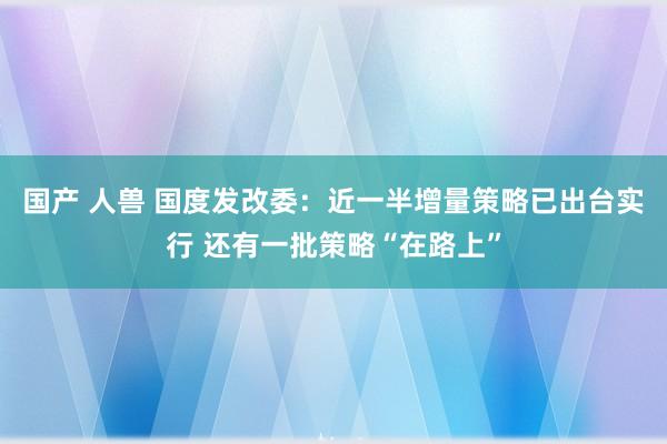 国产 人兽 国度发改委：近一半增量策略已出台实行 还有一批策略“在路上”