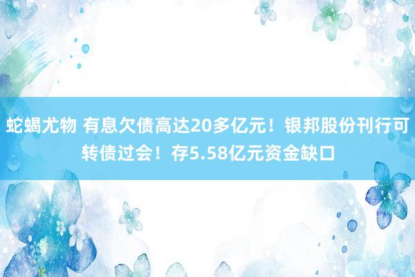 蛇蝎尤物 有息欠债高达20多亿元！银邦股份刊行可转债过会！存5.58亿元资金缺口