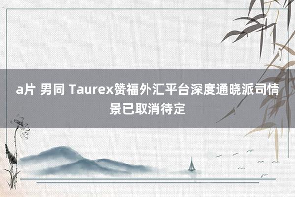 a片 男同 Taurex赞福外汇平台深度通晓派司情景已取消待定