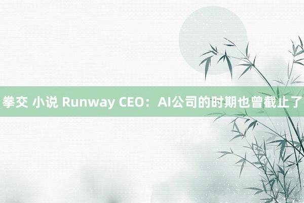 拳交 小说 Runway CEO：AI公司的时期也曾截止了