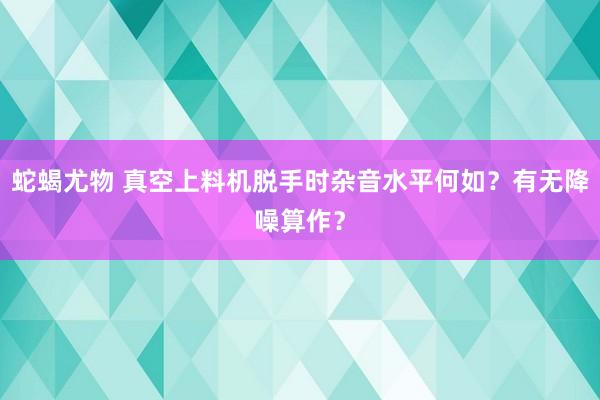 蛇蝎尤物 真空上料机脱手时杂音水平何如？有无降噪算作？