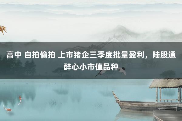 高中 自拍偷拍 上市猪企三季度批量盈利，陆股通醉心小市值品种