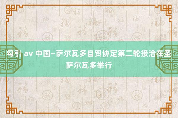 勾引 av 中国—萨尔瓦多自贸协定第二轮接洽在圣萨尔瓦多举行