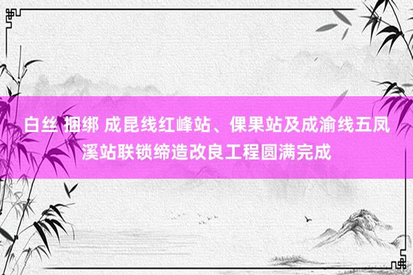 白丝 捆绑 成昆线红峰站、倮果站及成渝线五凤溪站联锁缔造改良工程圆满完成