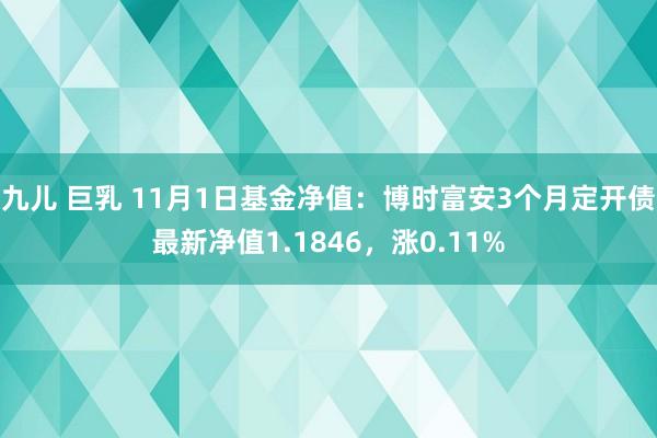 九儿 巨乳 11月1日基金净值：博时富安3个月定开债最新净值1.1846，涨0.11%