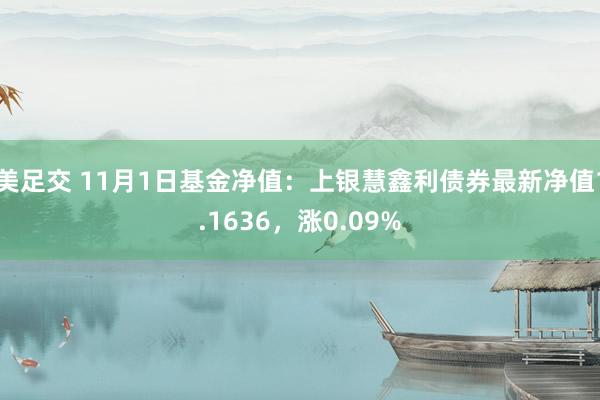 美足交 11月1日基金净值：上银慧鑫利债券最新净值1.1636，涨0.09%