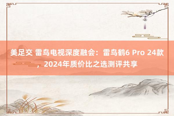 美足交 雷鸟电视深度融会：雷鸟鹤6 Pro 24款，2024年质价比之选测评共享