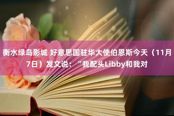 衡水绿岛影城 好意思国驻华大使伯恩斯今天（11月7日）发文说：“我配头Libby和我对