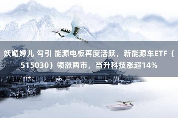 妖媚婷儿 勾引 能源电板再度活跃，新能源车ETF（515030）领涨两市，当升科技涨超14%