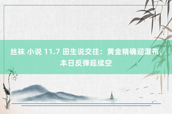 丝袜 小说 11.7 田生说交往：黄金精确迎瀑布，本日反弹延续空