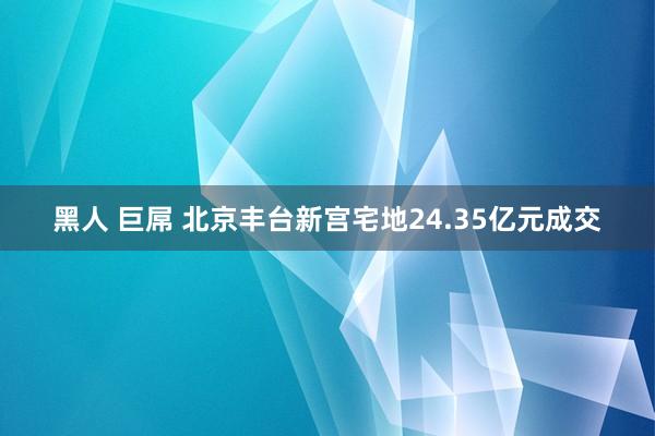 黑人 巨屌 北京丰台新宫宅地24.35亿元成交